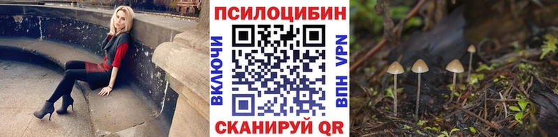 цена наркотик  мега вход  Псилоцибиновые грибы Cubensis  Лосино-Петровский 