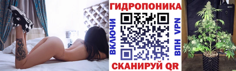 Бошки Шишки ГИДРОПОН  blacksprut ссылка  Лосино-Петровский 